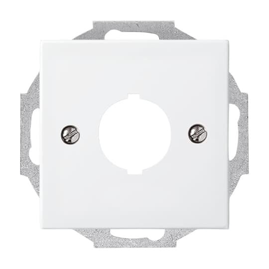 Busch-Jaeger - Einsatz/Abdeckung für Kommunikationstechnik Zentralscheibe alpinws 2534-914 f.Datenkommunikation