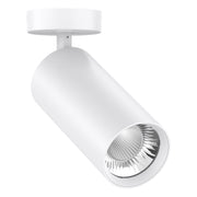 EVN Lichttechnik - Downlight/Strahler/Flutlicht LED-Anbauleuchte CS350125