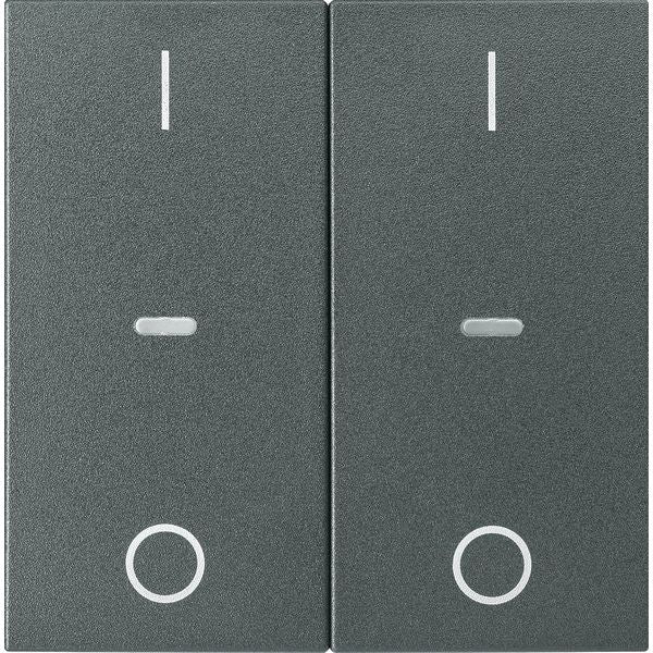 Berker - Abdeckung/Bedienelement für Installationsschalterprogramme Abdeckung Tastsensor-Modul 80962385 2-fach anthrazit