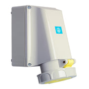 Walther Werke - CEE-Steckdose (IEC 60309) Wandsteckdose 63A 169304 3P 110V 4h IP67