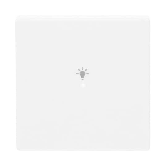 Busch-Jaeger - Bussystem-Tastwippe Wippe 1-fach, Symbol Licht 6231-10-84 studioweiß