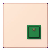 Jung - Behindertenelement für Installationsschalterprogramme Notrufsystem Abstelltaster NRS LC 0834 AT 226 orange pale