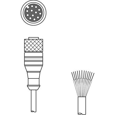Leuze - Konfektioniertes Sensor-Aktor-Kabel Anschlussleitung KD S-M12-CA-P1-250