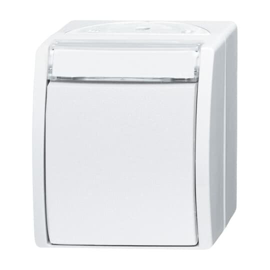 Busch-Jaeger - Installationsschalter Wechselschalter 2601/6 WN-54