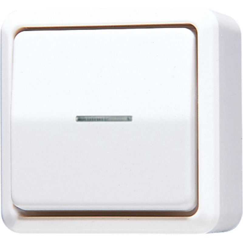 Jung - Installationsschalter Wipp-Kontrollschalter 606 KO5 A WW Univ Aus-Wechsel
