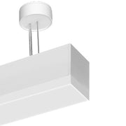 LTS Licht&Leuchten - Pendelleuchte LED-Pendelleuchte MLP070118402AOVDA.ws 840, DALI, ws