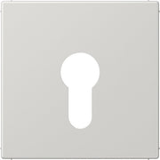 Jung - Abdeckung/Bedienelement für Installationsschalterprogramme Abdeckung lgr LS 925 LG für Schlüsselschalt