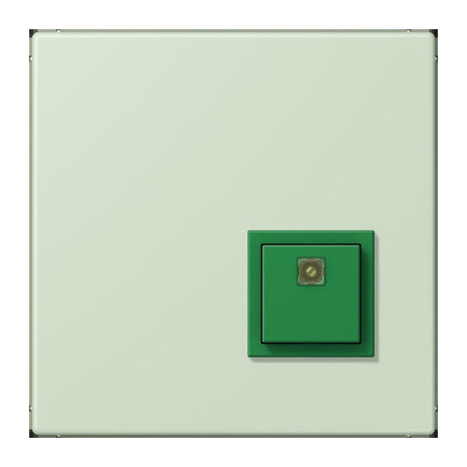 Jung - Behindertenelement für Installationsschalterprogramme Notrufsystem Abstelltaster NRS LC 0834 AT 218 vert anglais pale