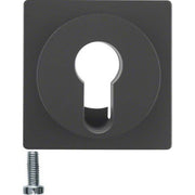Berker - Abdeckung/Bedienelement für Installationsschalterprogramme Zentralstück anth/sa 15076086 f. Schlüsselschalter