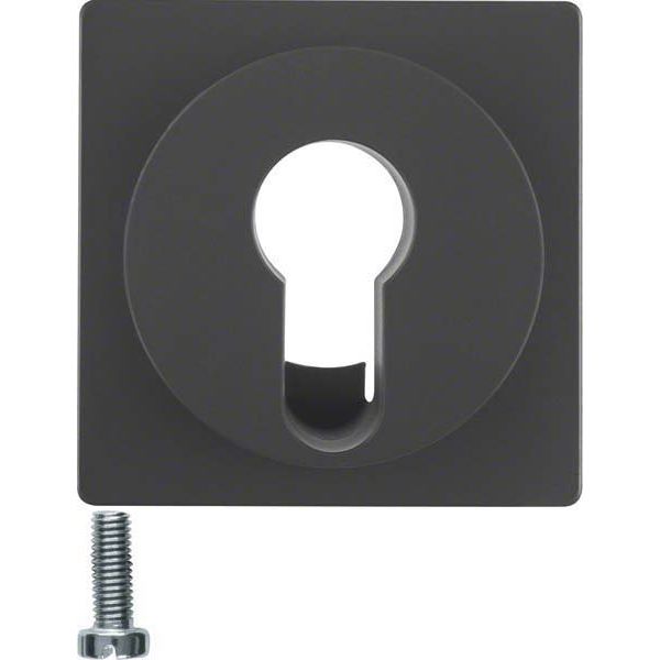 Berker - Abdeckung/Bedienelement für Installationsschalterprogramme Zentralstück anth/sa 15076086 f. Schlüsselschalter
