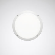 Trilux - Decken-/Wandleuchte LED-Wand-/Deckenleuchte Skeo Circ M #7578151 DALI