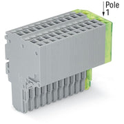 WAGO - Ein- und mehrpolige Klemmenleiste 2-Leiter-Federleiste 2020-214/000-036 1,5mm²,gr/gn-ge − 10 Stück