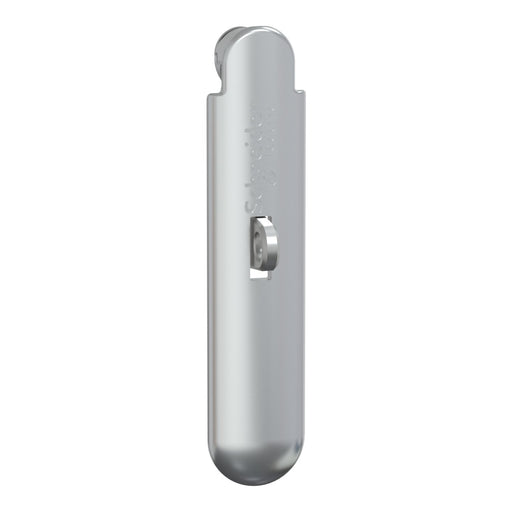 Schneider Electric - Komponente für Tür (Schaltschrank) Vorhängeschloss-Satz LVS07938 PrismaSeT-P