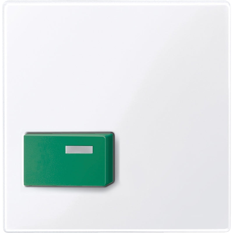 Merten - Zentralelement Klinikinstallation Zentralplatte aws/gl 451525 für Abstelltaster gn