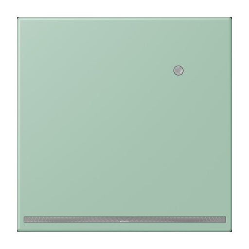 Jung - Orientierungsleuchte LED-Orientierungslicht LC 1539-O LNW 217