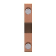 Striebel&John - Sammelschiene CombiLine SKII Module ZX2875 Sammelschiene