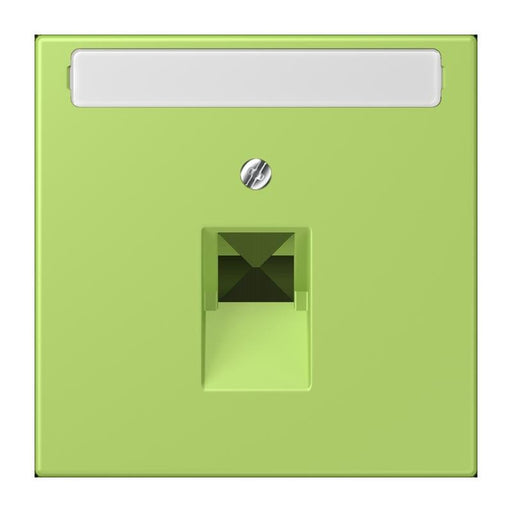 Jung - Einsatz/Abdeckung für Kommunikationstechnik Abdeckung für IAE/UAE LC 969-1 NAUA 221 vert clair (32052)