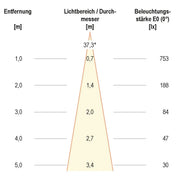 EVN Lichttechnik - Downlight/Strahler/Flutlicht Deckeneinbauleuchte 5690016D2W IP20 6W 3000K-2000K