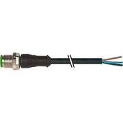 Murrelektronik - Konfektioniertes Sensor-Aktor-Kabel M12 Stecker 7004-12021-6340300 ger. frei Ltg-Ende − 10 Stück
