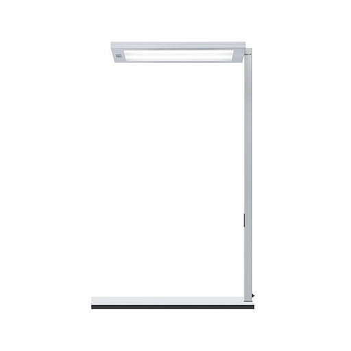 Waldmann Light - Tischleuchte LED-Tischleuchte 00804456 840
