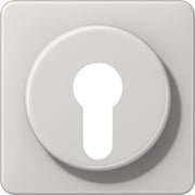 Jung - Abdeckung/Bedienelement für Installationsschalterprogramme Abdeckung lgr CD 528 LG für Schlüsselschalt