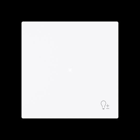 Busch-Jaeger - Bussystem-Tastwippe Wippe 1-fach mit Symbol 6234-10-44G Dimmer