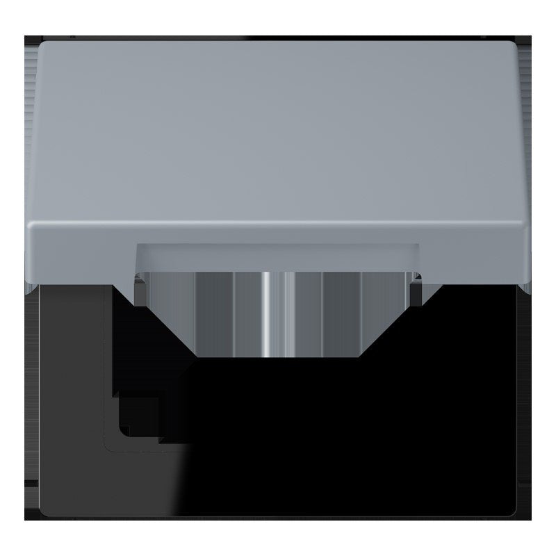 Jung - Abdeckrahmen Klappdeckel m. Stellfeder LC 990 BFKL 257 gris clair 59