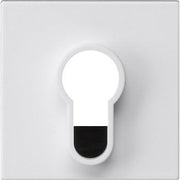 Gira - Abdeckung/Bedienelement für Installationsschalterprogramme Abdeckung 866427 Schlüsselschalter