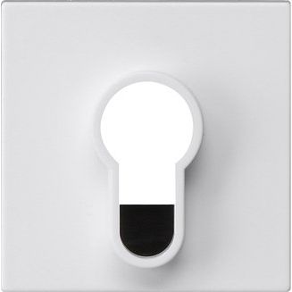 Gira - Abdeckung/Bedienelement für Installationsschalterprogramme Abdeckung 866427 Schlüsselschalter