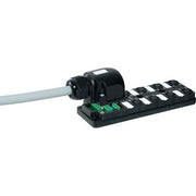 Murrelektronik - Passiver Sensor-/Aktor-Verteiler (mit Leitung) Passiv-Verteiler 27024 8xM12 4pol