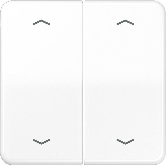 Jung - Abdeckung/Bedienelement für Installationsschalterprogramme Wippe Symbole aws CD 595 MP WW für Taster 2-fach