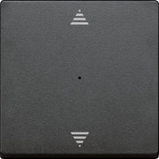 Merten - Bussystem-Tastwippe Wippe für Tastermodul 1f. 625514 m.Aufdruck Pfeil