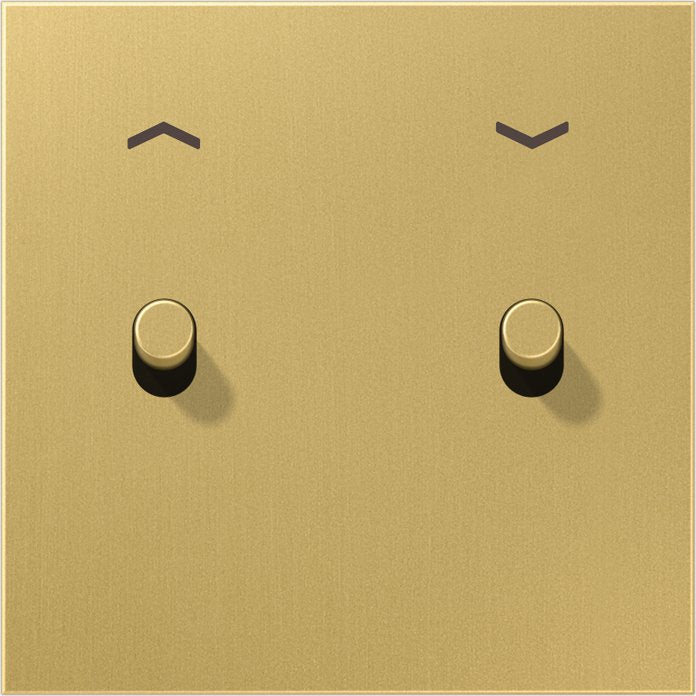 Jung - Abdeckung/Bedienelement für Installationsschalterprogramme Abdeckung mit Kipphebel ME 12-5 P C R 25 Zylinder, 1fach