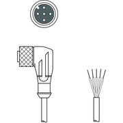 Leuze - Konfektioniertes Sensor-Aktor-Kabel Anschlussleitung KD U-M12-5W#50133845