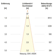 EVN Lichttechnik - Downlight/Strahler/Flutlicht LED-Anbauleuchte CA350925