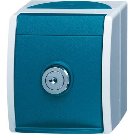 Busch-Jaeger - Steckdose Schuko-Steckdose 20 EWSL-53 abschliessbar