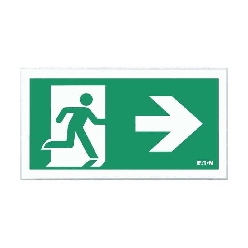 Ceag Notlichtsysteme - Sicherheitsleuchte LED-Rettungszeichenleuchte FT2EW4ICGL18IP 1-8h, Piktos, Wand