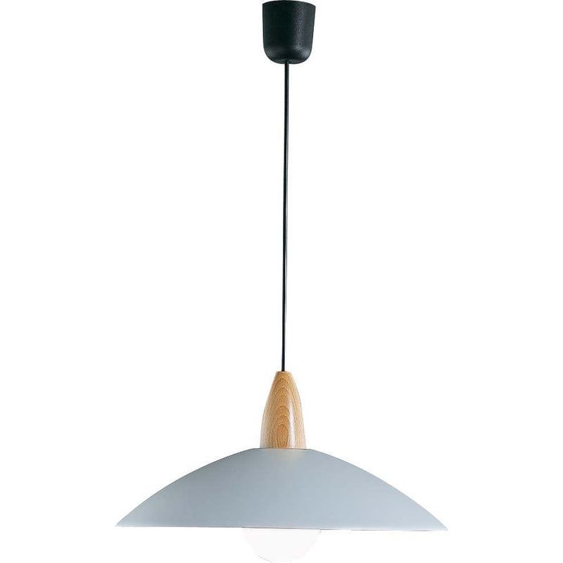 Böhmer - Pendelleuchte 21051 si G95 100W ti-si-bu