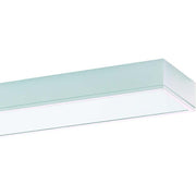 Ridi-Leuchten - Decken-/Wandleuchte Anbauleuchte m.RIDI-Tube IHLS-L 154/ #0660087