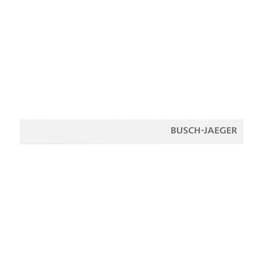 Busch-Jaeger - Bussystem-Physikalischer Sensor Abschlussleiste unten 6352-24G-101 Temp.fühler m.Kennz