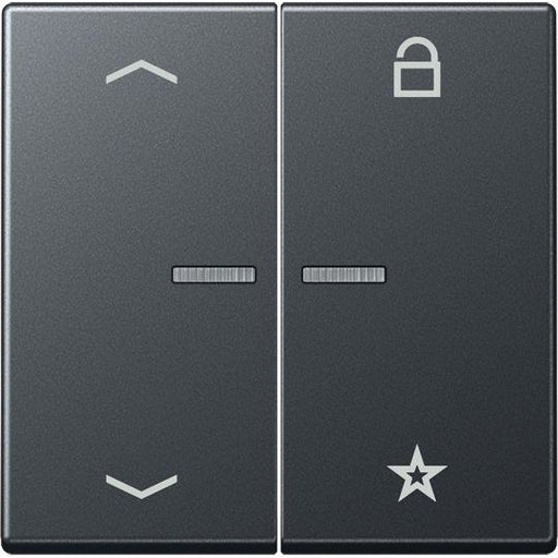 Jung - Bedienelement intelligent eNet Funk-Steuertaste FM A 1701 BFP ANM 2fach, Symbol Pfeil