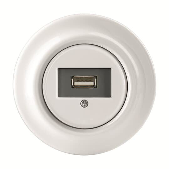 Busch-Jaeger - Einsatz/Abdeckung für Kommunikationstechnik USB-Anschlussdose 0261/12 J-64