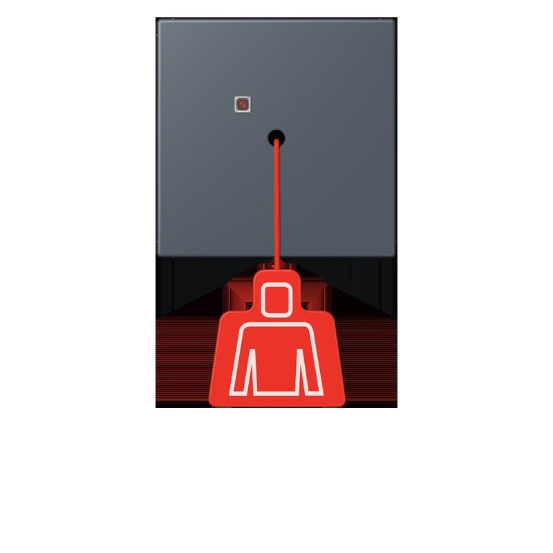 Jung - Behindertenelement für Installationsschalterprogramme Notrufsystem Zugtaster NRS LC 0834 ZT 262 gris fonce 59