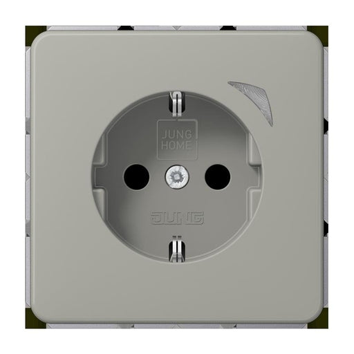 Jung - Steckdose SCHUKO Steckdose 16 A 250V BT CD 1521 SE PT m. Berührungsschutz