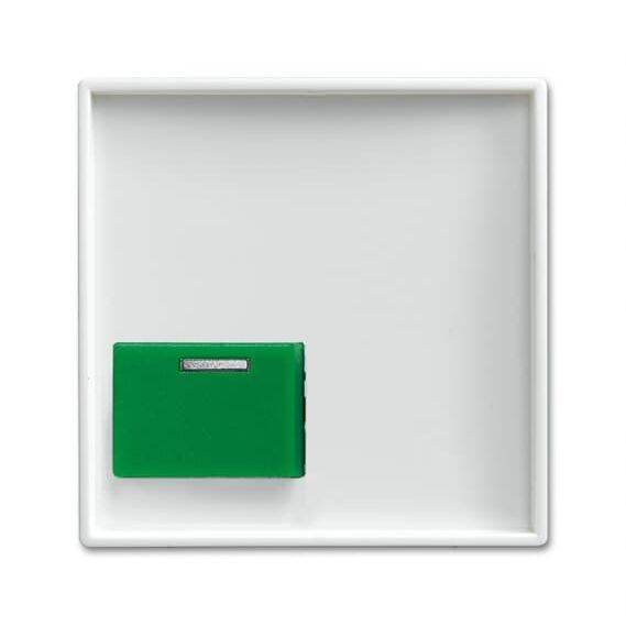 Busch-Jaeger - Zentralelement Klinikinstallation Zentralscheibe alpinws 2548-642 C-914 Licht-Ton-Rufsysteme