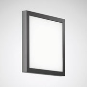 Trilux - Decken-/Wandleuchte LED-Wandleuchte Skeo Pura #6886140 4000K