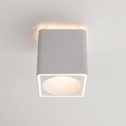 Brumberg Leuchten - Decken-/Wandleuchte LED-Anbaudownlight 230V 12126173