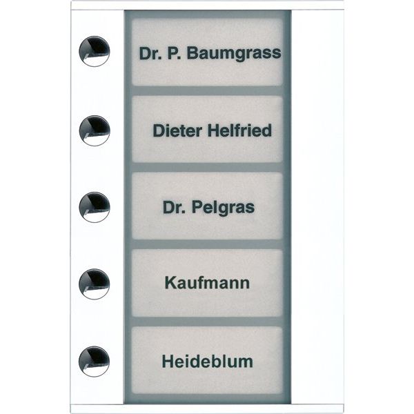 TCS Tür Control - Montageelement für Türstation Audioaußenstation 1-reihig PDT05-WS/04 Erw. 5 Tasten weiß