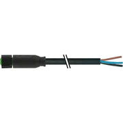 Murrelektronik - Konfektioniertes Sensor-Aktor-Kabel Verbindungsleitung 7005-08061-6311000 − 1 Stück