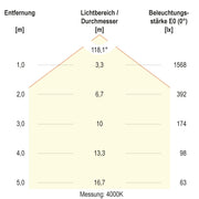 EVN Lichttechnik - Decken-/Wandleuchte LED-Anbauleuchte RAD800125 CCT Switch